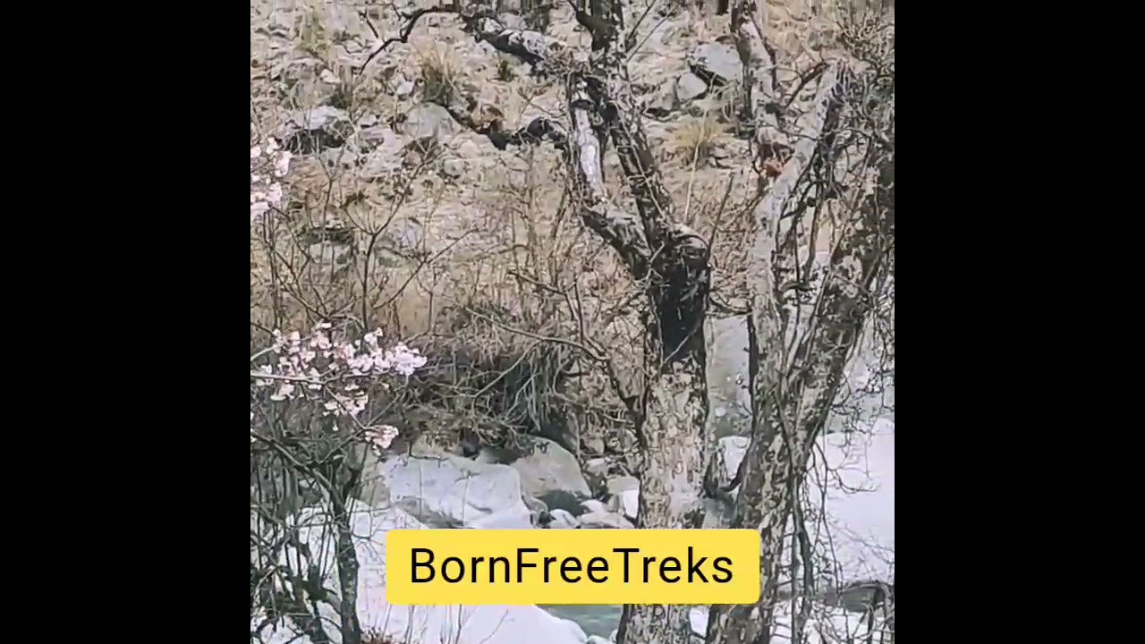 Har Ki Dun Spring Trek Glimpse