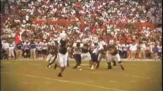 Celebrity University of Miami "It's All About The U" Wealth