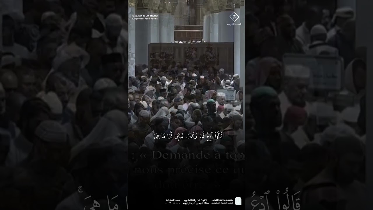 مقتطف من تلاوة فضيلة الشيخ #صلاح_البدير من صلاة التراويح ليلة 1 رمضان 1446هـ