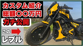 Rebel 250] All customizations revealed at once, with a grand
