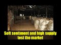 Soft sentiment and high supply test the market