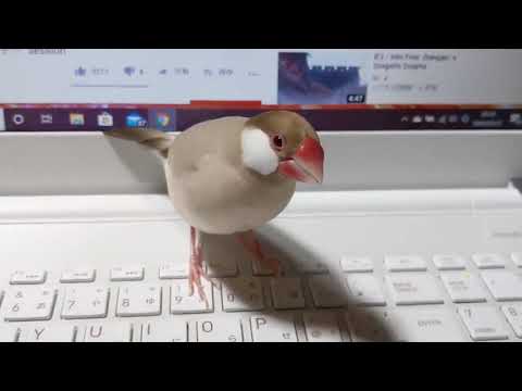 玲(あき)くん
