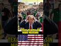 Texas colapsa sin mano mexicana