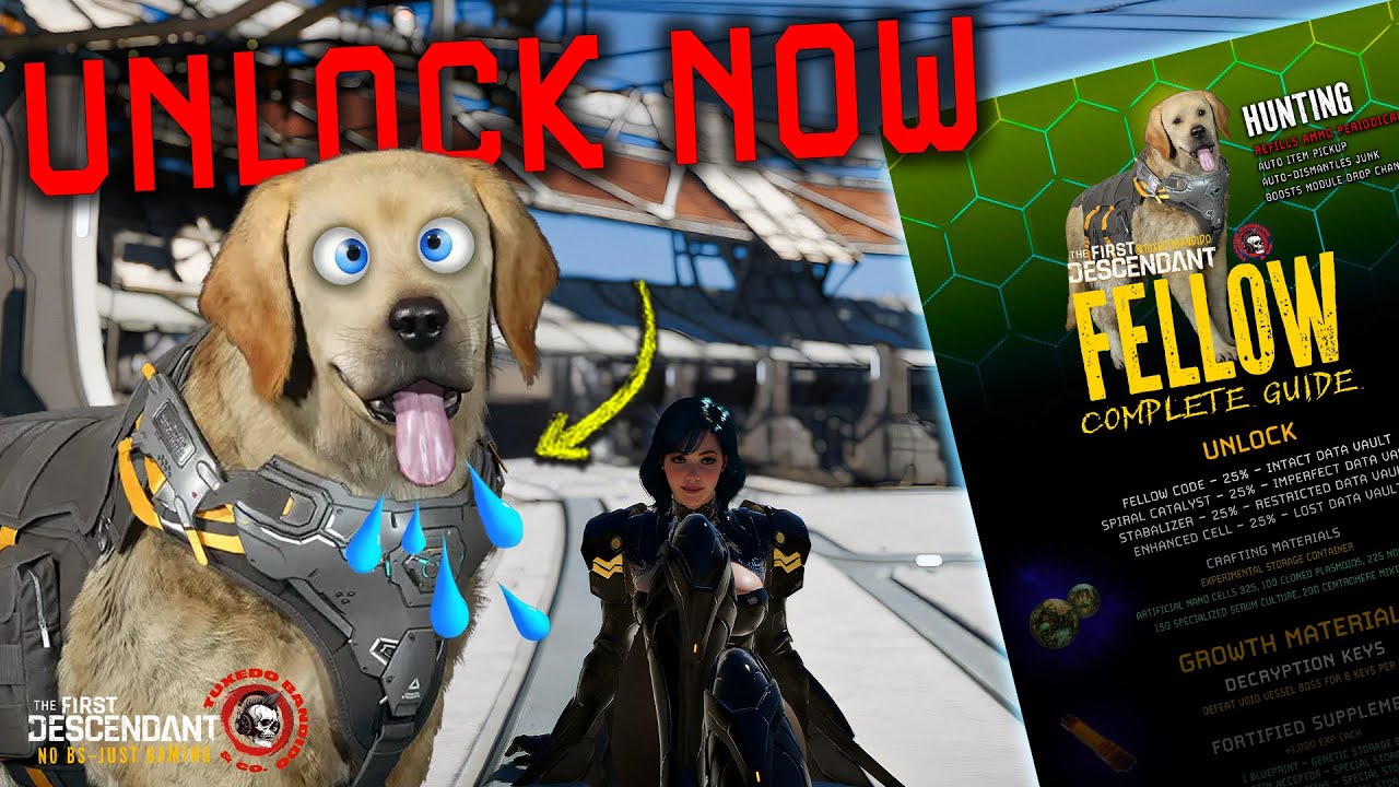 Лучший? Обзор и руководство для новичков – The First Descant