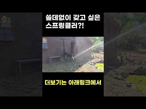 미친 해바라기의 테러..  ㄷㄷ