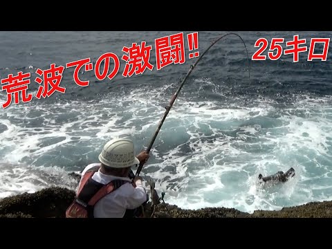 クエ【アラ】 宮崎県幸島 シイバエ 荒波の中で25キロとの激闘‼ “25kg