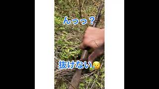 螺旋杭の抜き方