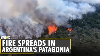 Argentina: Fire destroys 11,000 hectares of forest water | World News | WION News