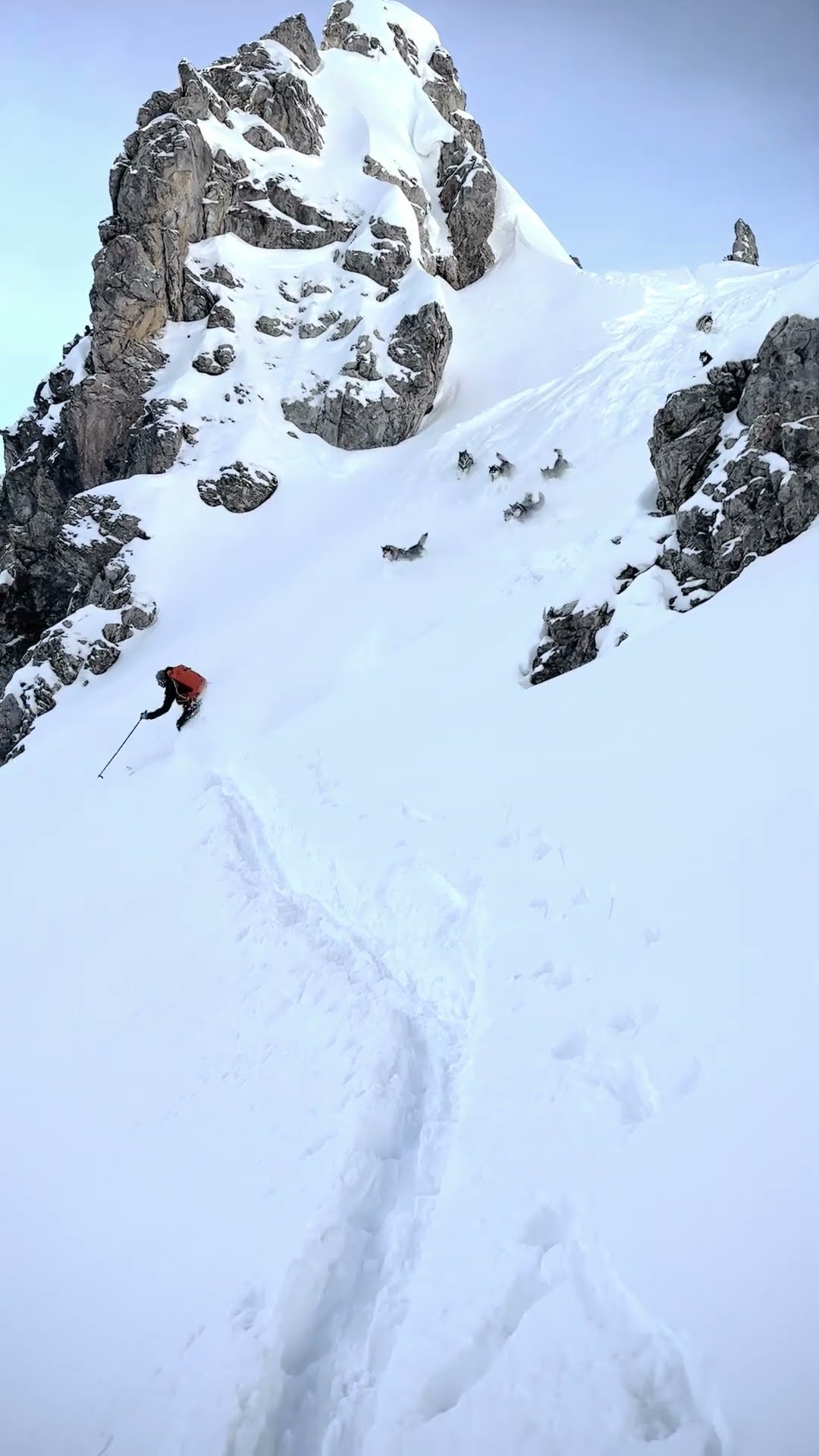 Skier Guides Husky Pack Down Mountain || ViralHog