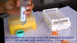 How to assay the free inorganic phosphorus - HIP assay