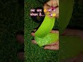 #क्या आप गर्मी से परेशान है #funny