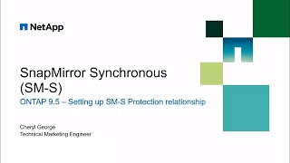 Setup a SnapMirror Synchronous (SM-S) Relationship Using OnCommand System Manager