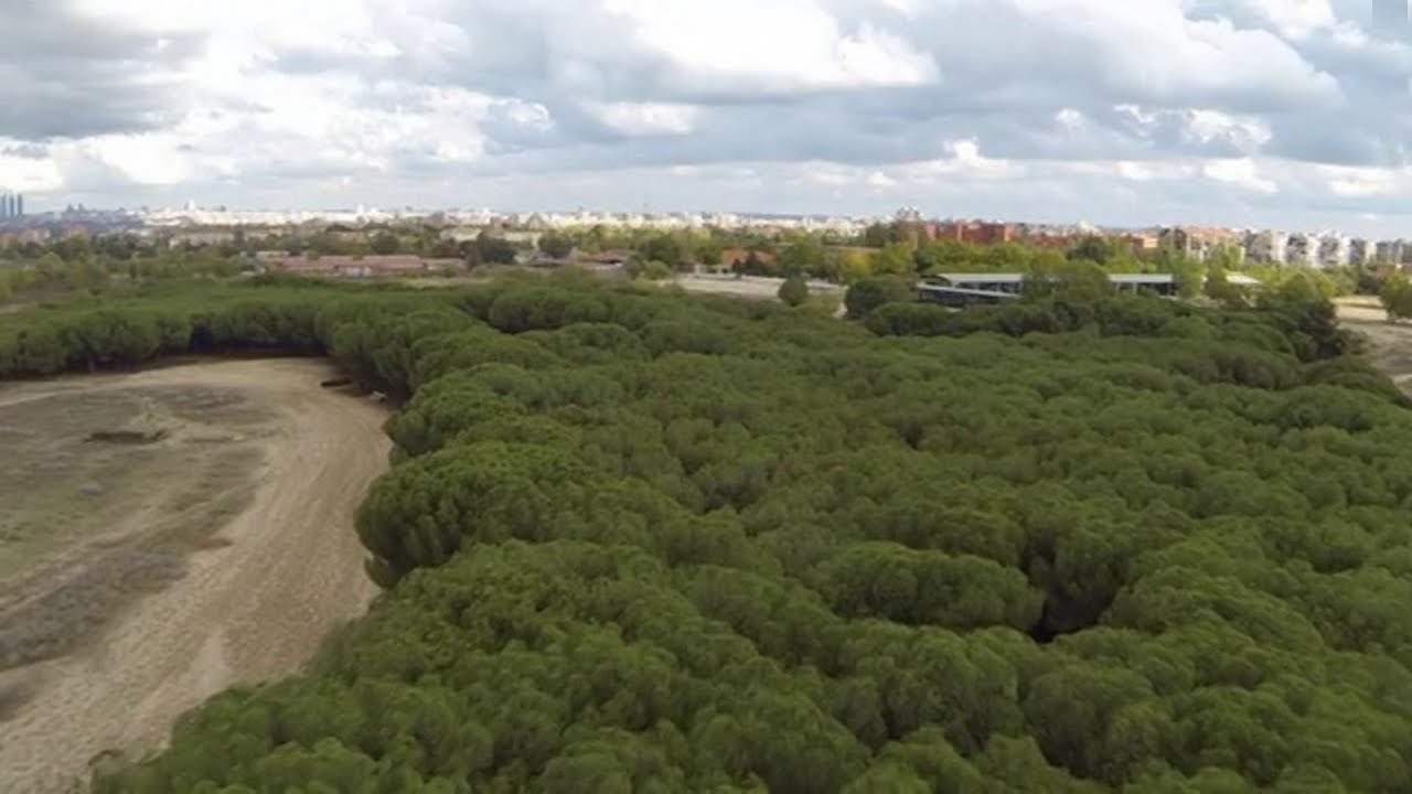 footage of chernobyl Tarot T-2D gimbal test quad aerial footage