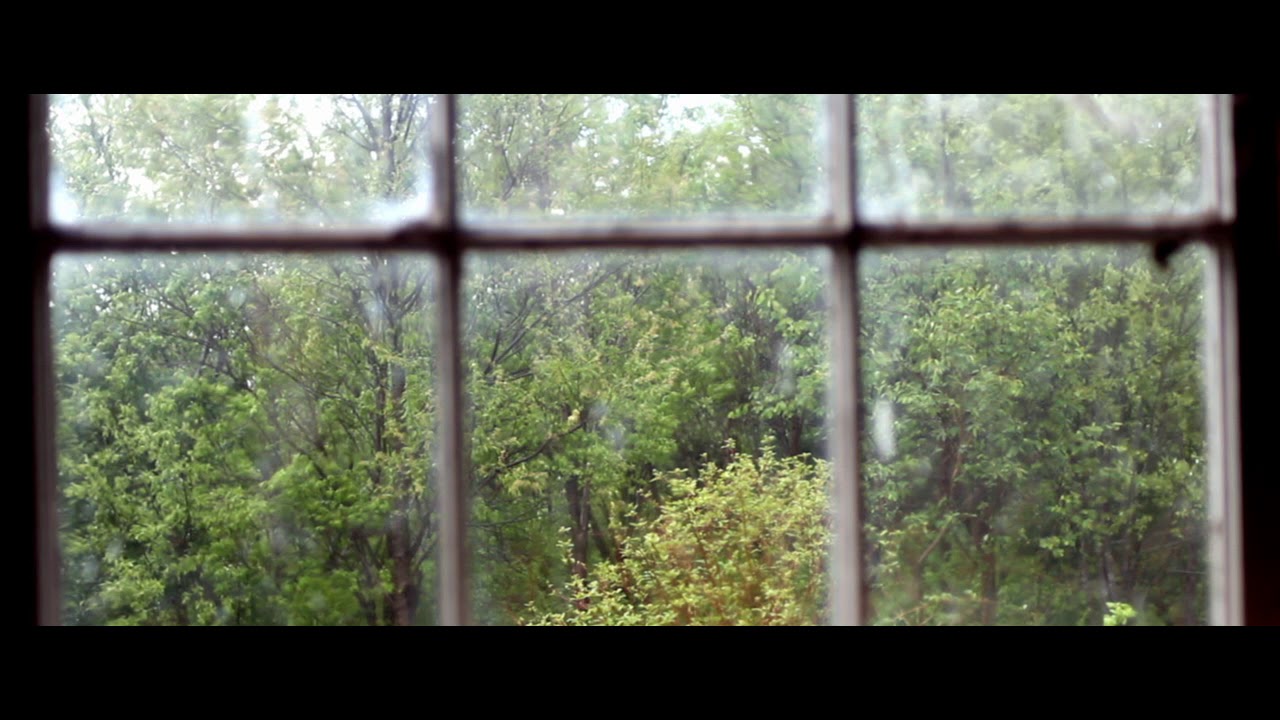 Rainfall and Thunderstorm Sounds (Stereo Field Recording)