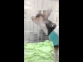 ペットショップで1番売れ残っていた子犬