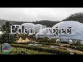 Eden project - March 2023