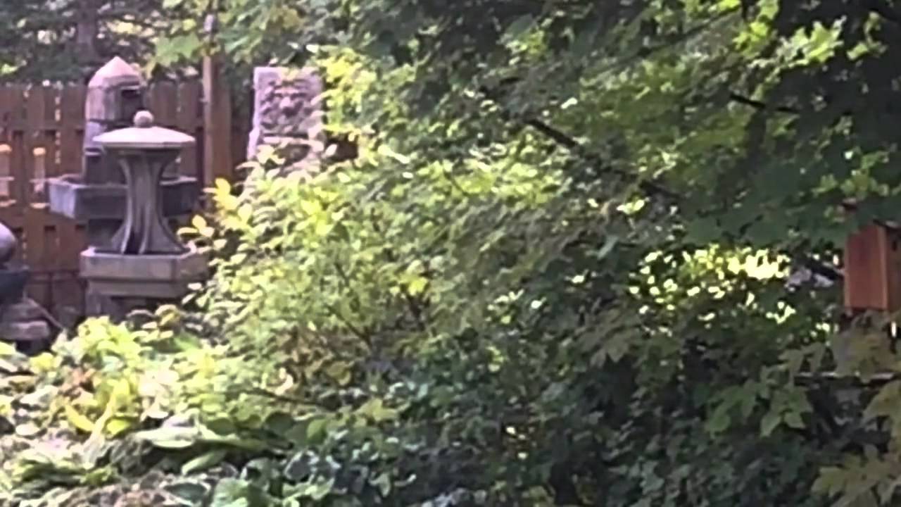 Bryan's Airbnb YouTube