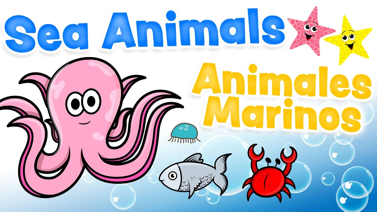 Sea Animals In English And Spanish For Kids Bilingual Learning