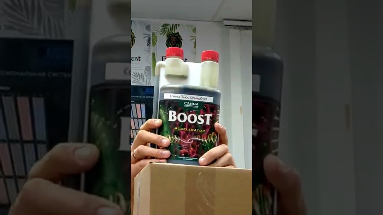 CANNADANCE CANNABOOST | 