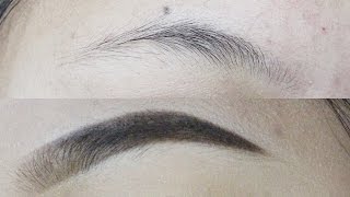 Updated Eyebrow Routine 2016 | ShannAbel