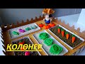 АЛТЫН КУЗГЕ АРНАЛГАН КОЛОНЕР! "Күзгі бақша" 🥕🥦🍅