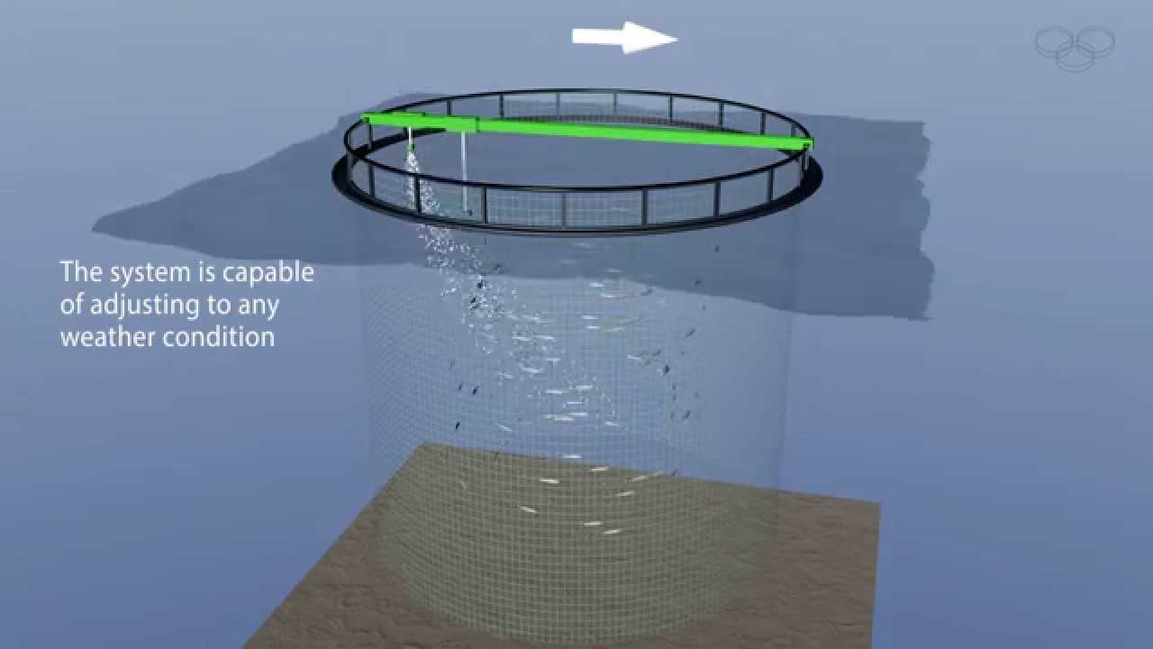 Skagen Engineering, Patented Cage Feed-Control for Fish farming aquaculture.  