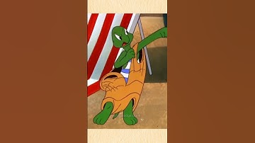 देखिए कछुए का कवच कितना मजबूत होता है | Turtle Shell vs Train Experiment #shorts