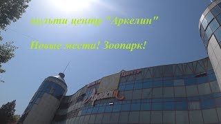 Арлекин. Хабаровск. 2019г. Новые места. Арлекин. Хабаровск. 2019г. Новые места.