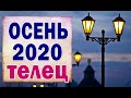 ТЕЛЕЦ 💦 ОСЕНЬ 2020. СЕНТЯБРЬ, ОКТЯБРЬ, НОЯБРЬ. Таро прогноз гороскоп