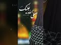 کلیپ استوری صلی الله علیک نریمانی