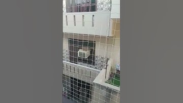 Pigeon Netting services in Gurgaon Delhi NCR | Balcony Safety Bird Netting installation Near me