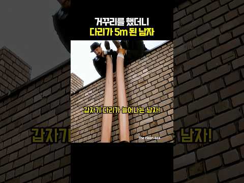 거꾸리 했더니 다리가 5m 된 이유