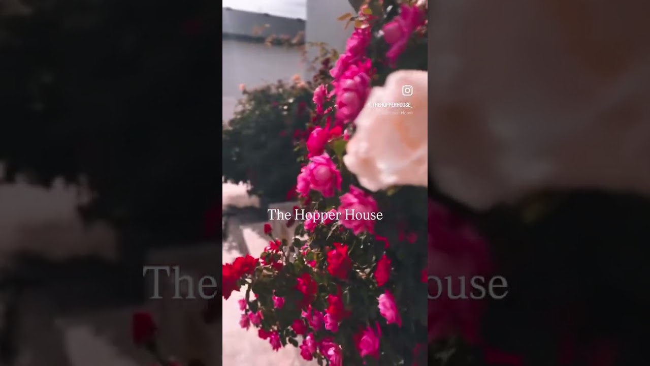 Our Happy Place at the Hopper House 🌹 