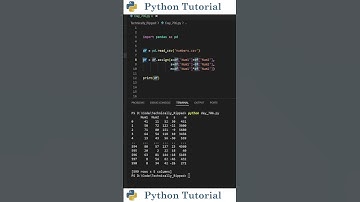 Adding Multiple Columns to Your Pandas DataFrame | Python Tutorial
