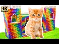 DIY - Build Beautiful House for Kitten Cat From Magnetic Balls (Satisfying) | Magnet World Series