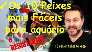 Peixes mais Fáceis para Aquário   Os 10 mais resistentes