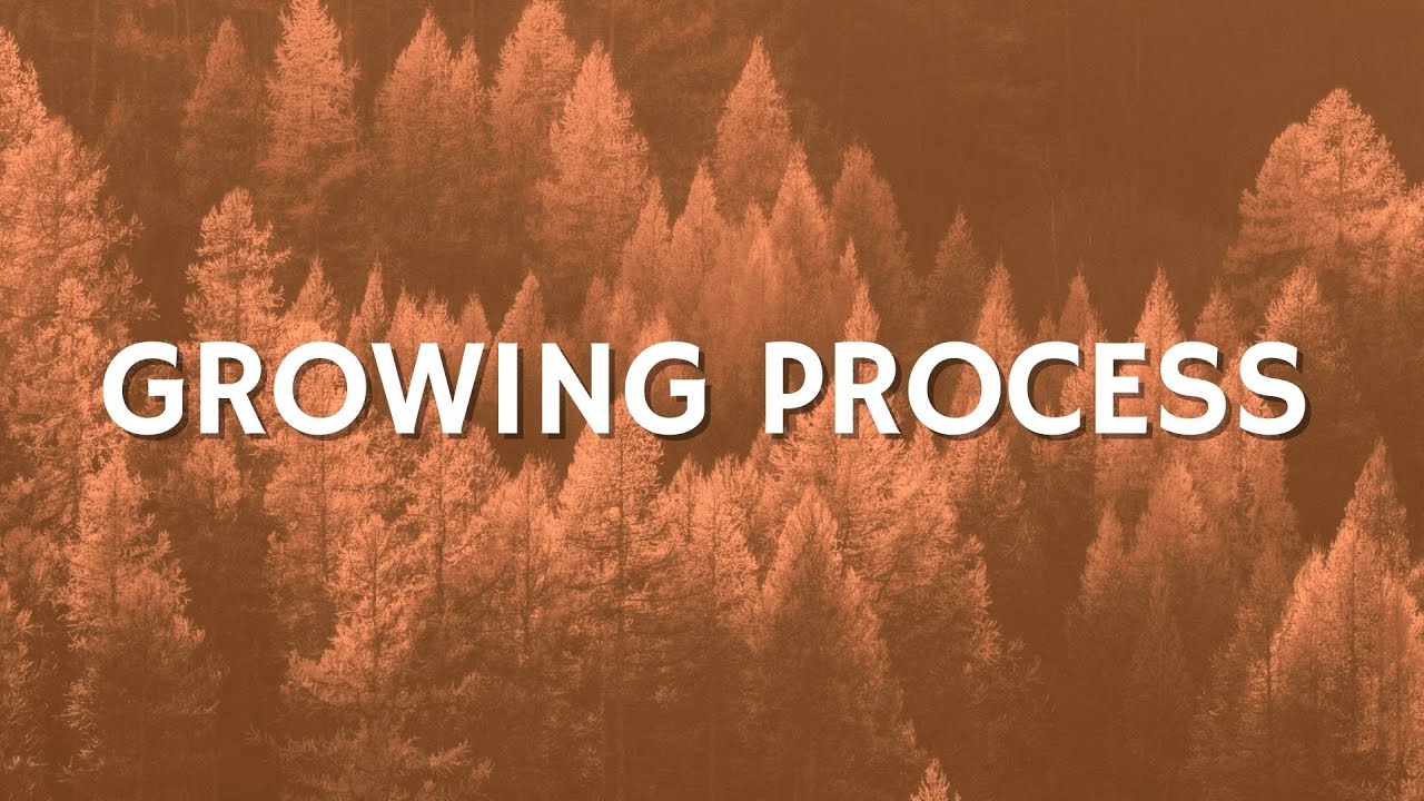 Ibadah Raya SCB Kemah Rajawali - 18 Juli 2021 | Joshua Fiman Hadiwidjaja