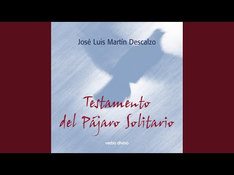 Capítulo 1.1 - Testamento del Pájaro Solitario