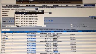 Tax Lien Certificate Online Sale Dynamic Top Down Analysis of Bidder Insights Results Proxy Bidding