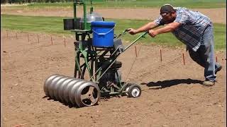 Annual Forage Crop Trial - 2020