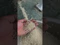 AI Rice Color Sorter | Dirty Rice vs Clean Rice in Seconds #machine#farming #factory #colorsorter