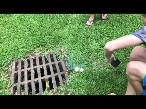 Exploding Eggs