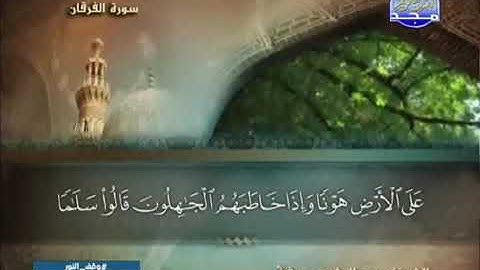 عبد الرشيد صوفى - الجزء التاسع عشر ( 19 ) قراءة برواية شعبة عن عاصم
