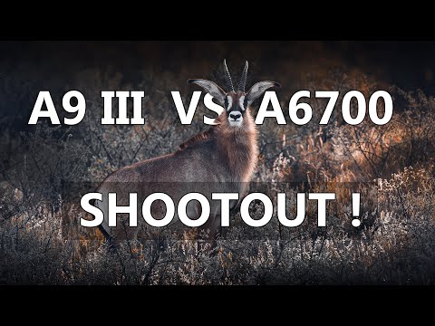 Sony A9 III vs A6700 in NAMIBIA 😱 Welche Kamera macht die besten Fotos?