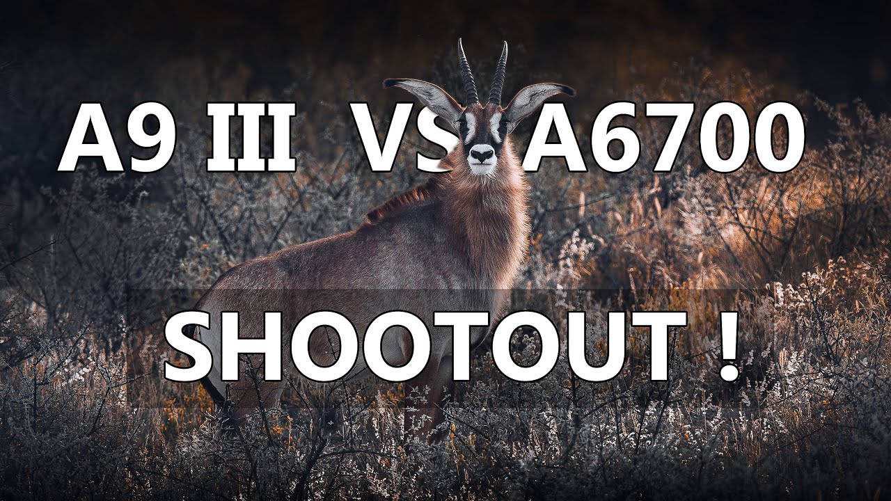 Sony A9 III vs A6700 in NAMIBIA 😱 Welche Kamera macht die besten Fotos?