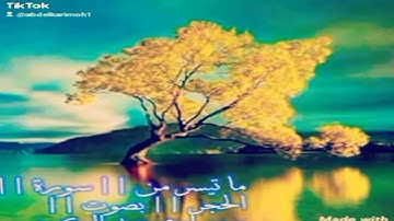 تلاوة خاشعة مع ماتسير من سورة الحجر بصوت صحراوي عبد الكريم