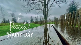 The Beauty of A Rainy Day in ÎledeFrance| Daily Vlog | French Vibes | Saint Cloud