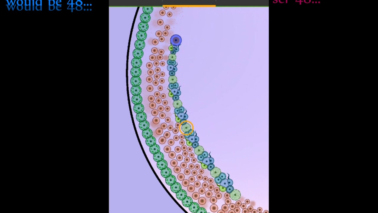 Cell lab Digestion II, challenge 41; Walkthrough cell lab English