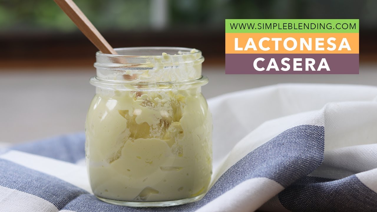 LACTONESA CASERA | Mayonesa sin huevo | Cómo preparar lactonesa casera