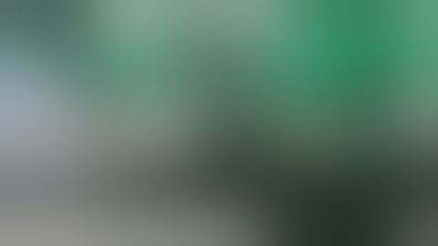 Haibao Robot Sorting: Domestic Waste Video